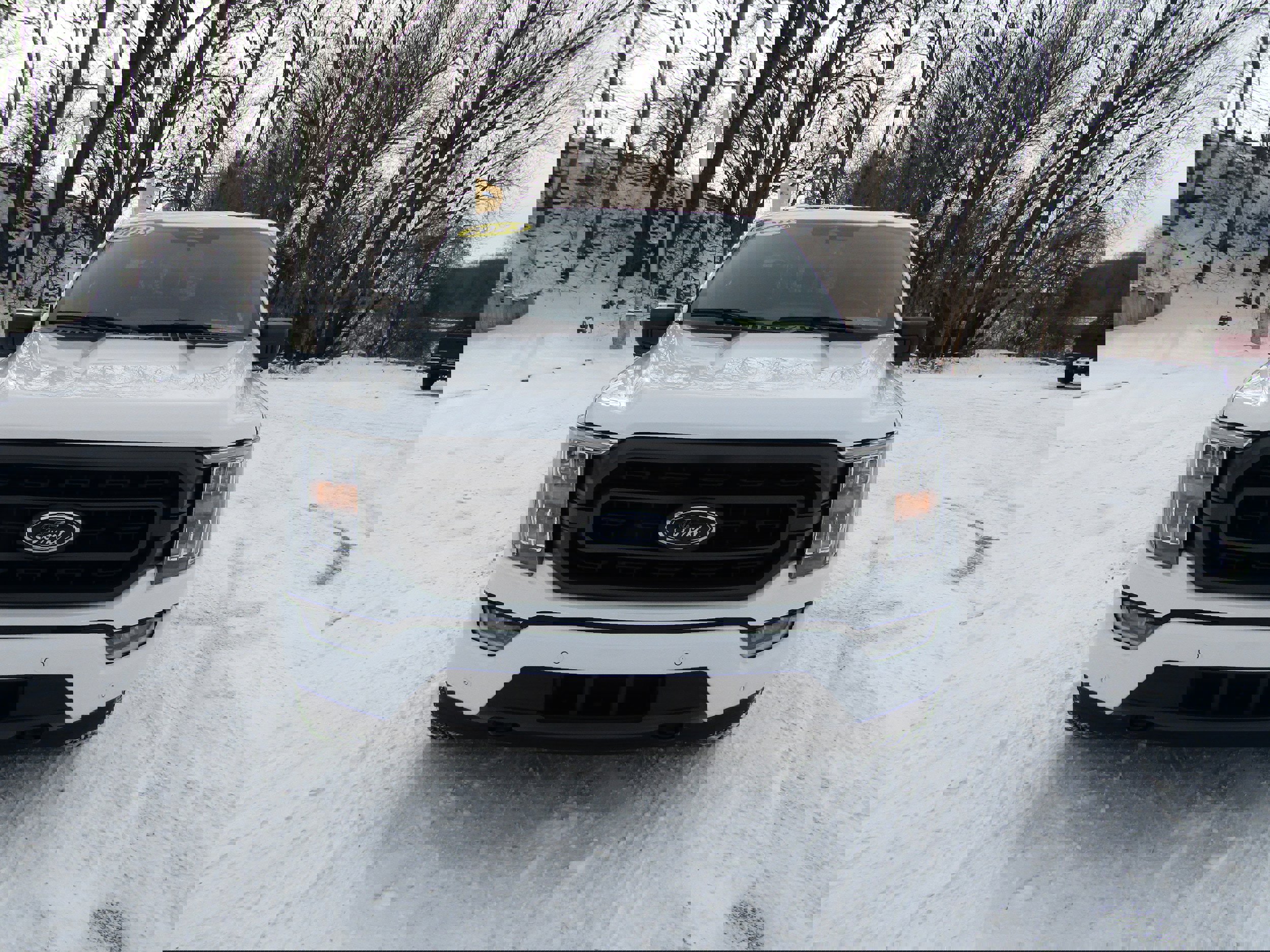 Certified 2023 Ford F150 XLT w/ Equipment Group 302A High image 7