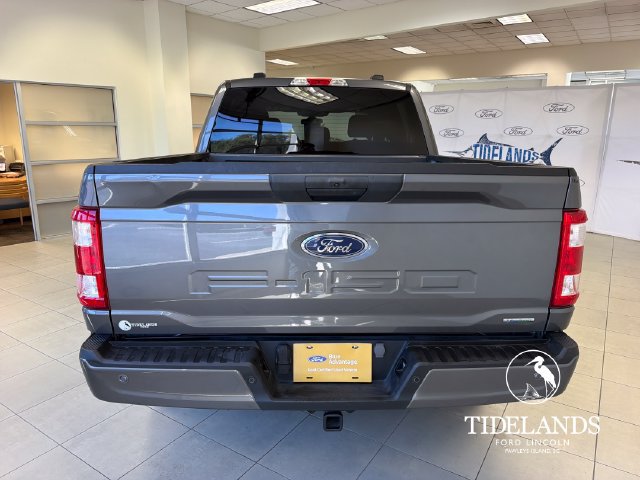 Certified 2023 Ford F150 XL w/ STX Appearance Package AWD/4WD image 7