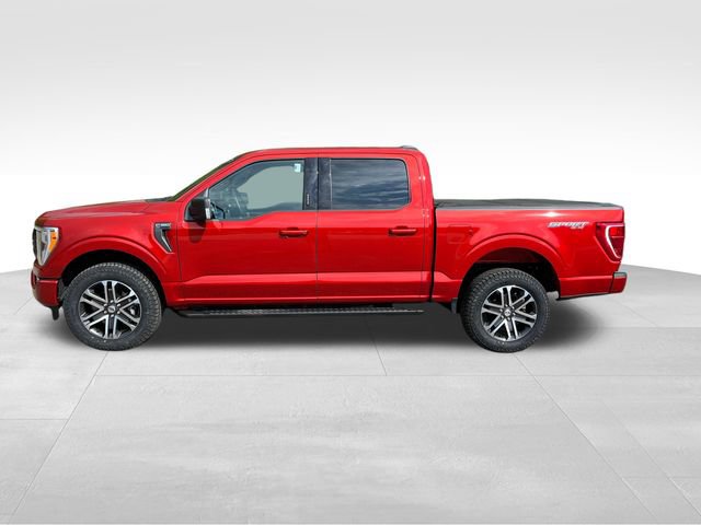 Certified 2023 Ford F150 XLT w/ Equipment Group 302A High AWD/4WD image 9
