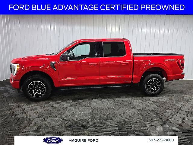 Certified 2023 Ford F150 XLT w/ Equipment Group 302A High AWD/4WD image 6