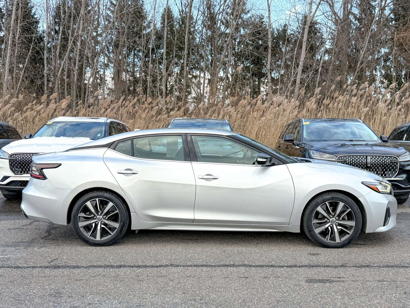 Used 2019 Nissan Maxima 3.5 SV w/ Floor Mat Group image 7