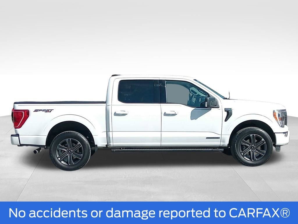 Certified 2023 Ford F150 XLT w/ Equipment Group 302A High image 2