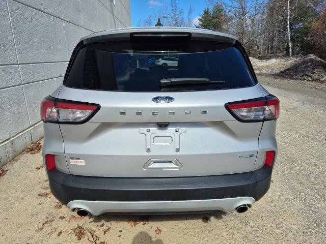 Certified 2020 Ford Escape SE image 4