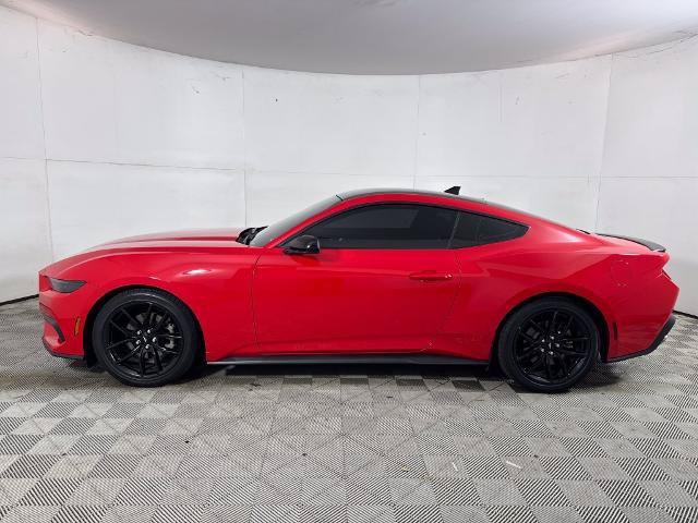 Certified 2025 Ford Mustang Coupe w/ Mustang Nite Pony Package RWD image 7
