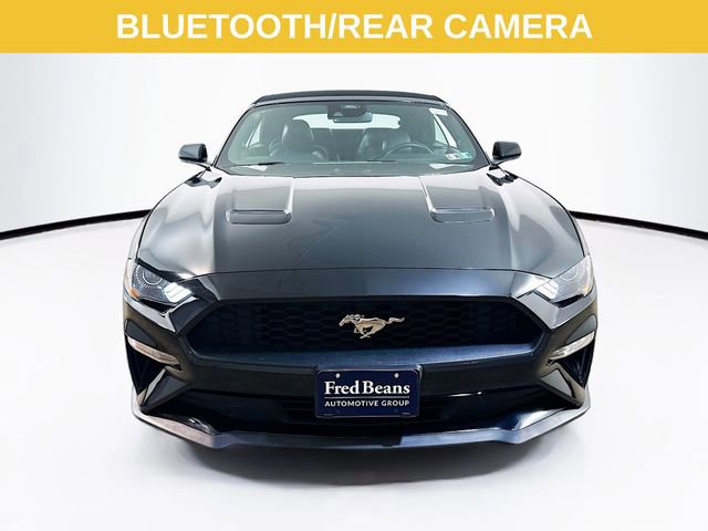 Certified 2022 Ford Mustang Premium image 10