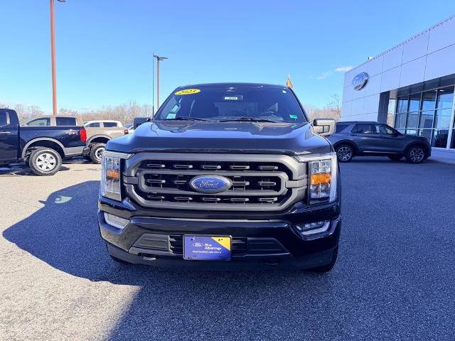 Certified 2023 Ford F150 XLT w/ Equipment Group 302A High image 9