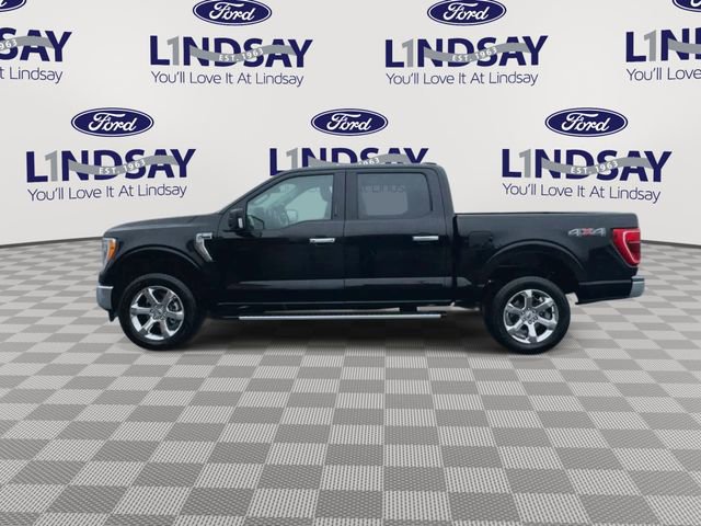 Certified 2022 Ford F150 XLT w/ Equipment Group 302A High image 2