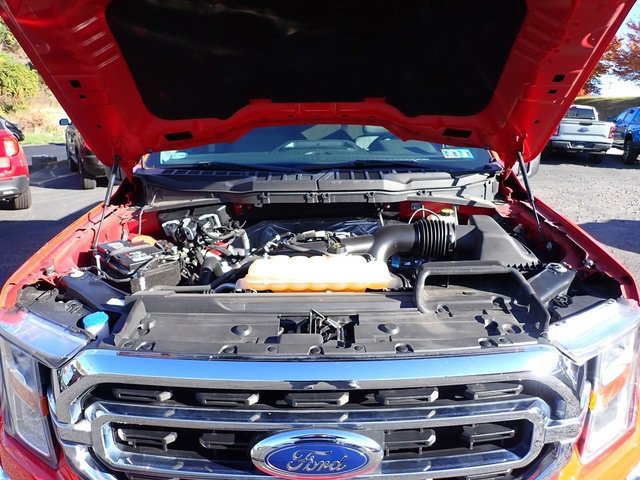 Certified 2022 Ford F150 XLT w/ Equipment Group 301A Mid image 16