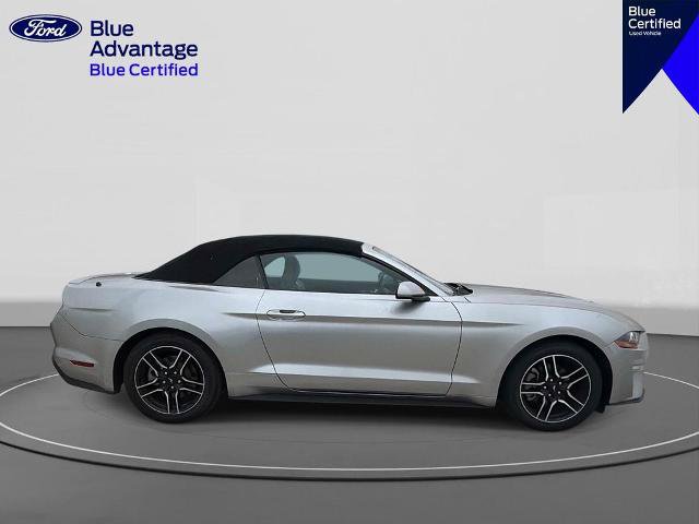 Certified 2021 Ford Mustang Premium RWD image 6