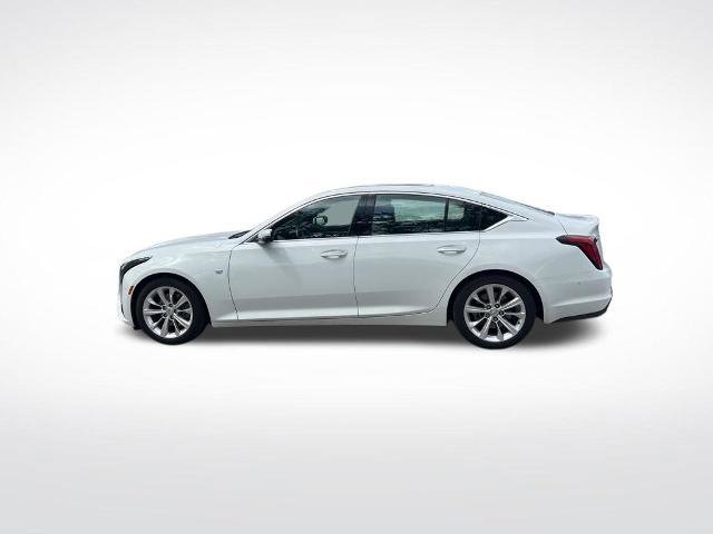 Used 2025 Cadillac CT5 Premium Luxury RWD image 6