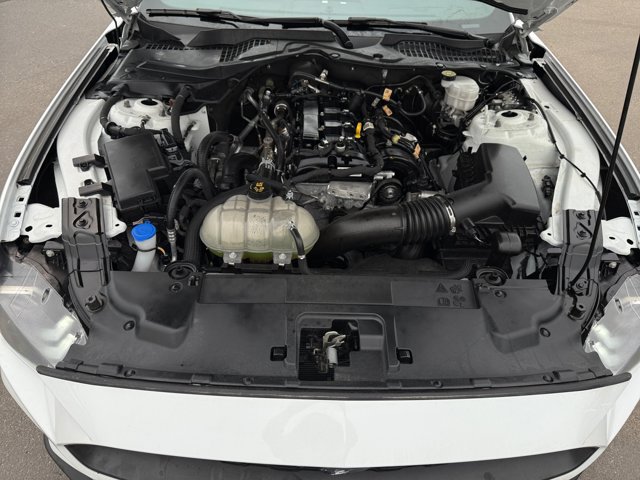 Certified 2021 Ford Mustang Premium w/ Ford Safe & Smart Package RWD image 33