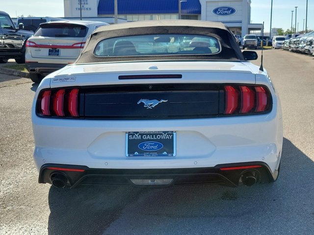 Certified 2019 Ford Mustang Convertible w/ Equipment Group 101A image 5