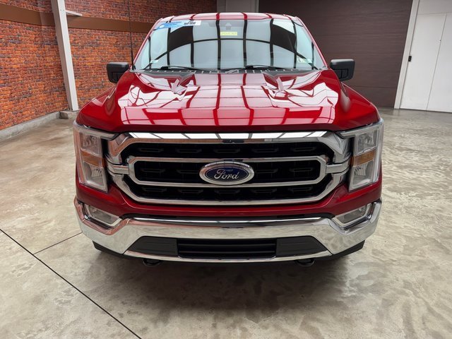 Certified 2022 Ford F150 XLT w/ Equipment Group 301A Mid image 8