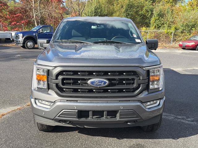 Certified 2023 Ford F150 XLT w/ Equipment Group 302A High AWD/4WD image 6