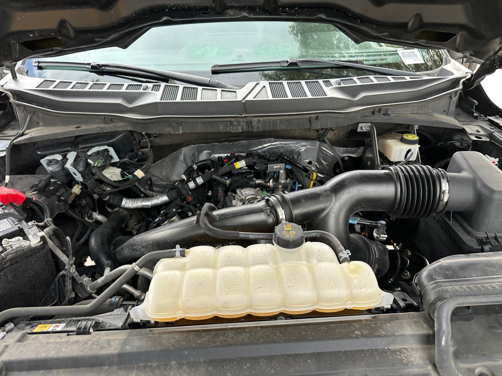 Certified 2024 Ford F150 STX RWD image 24
