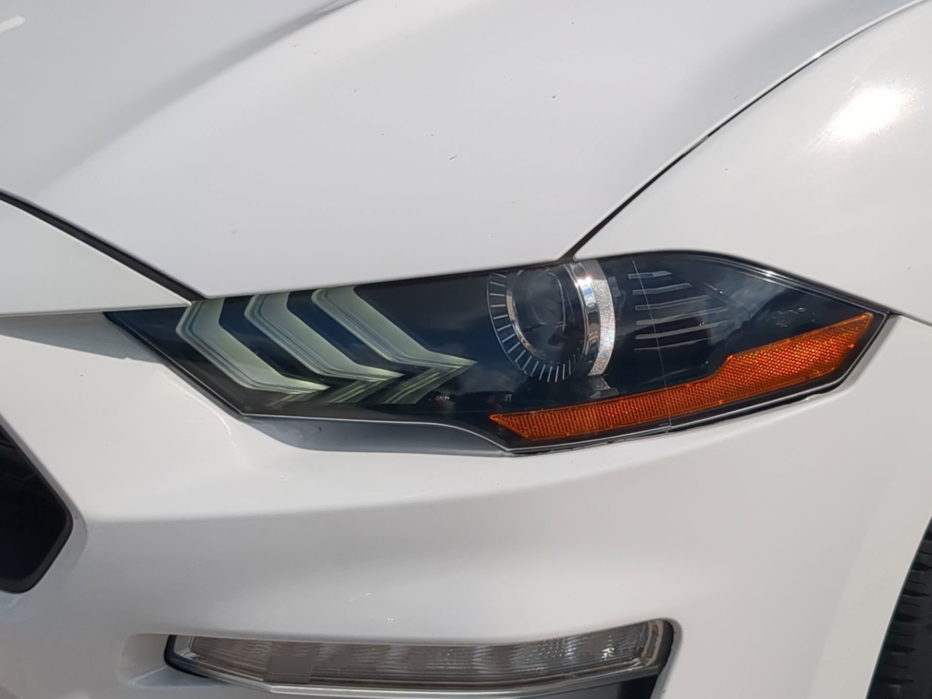 Certified 2022 Ford Mustang Coupe w/ Equipment Group 101A image 36