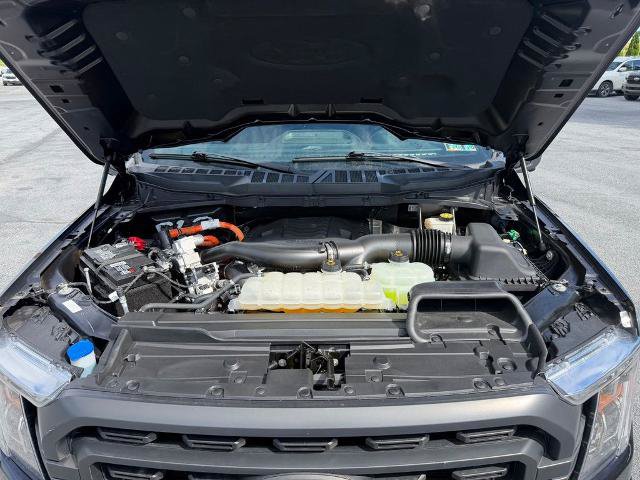 Certified 2023 Ford F150 XLT w/ Equipment Group 302A High AWD/4WD image 22