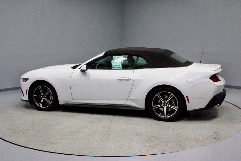 Certified 2024 Ford Mustang Premium image 2