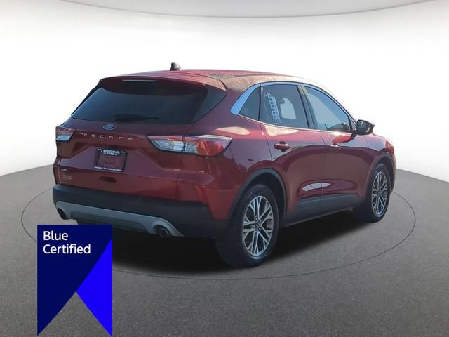 Certified 2022 Ford Escape SEL w/ Technology Package FWD image 3