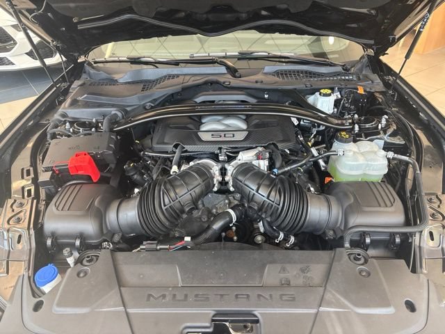 Certified 2024 Ford Mustang Dark Horse w/ Dark Horse Handlin Package RWD image 17