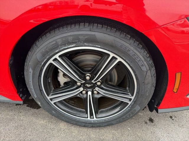 Certified 2024 Ford Mustang Premium image 11