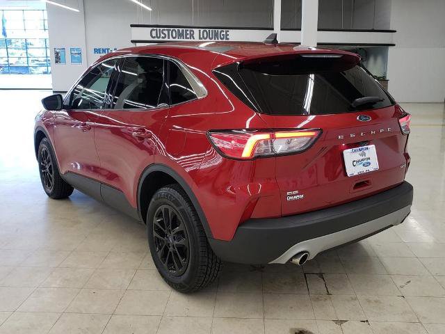 Certified 2021 Ford Escape SE AWD/4WD image 6