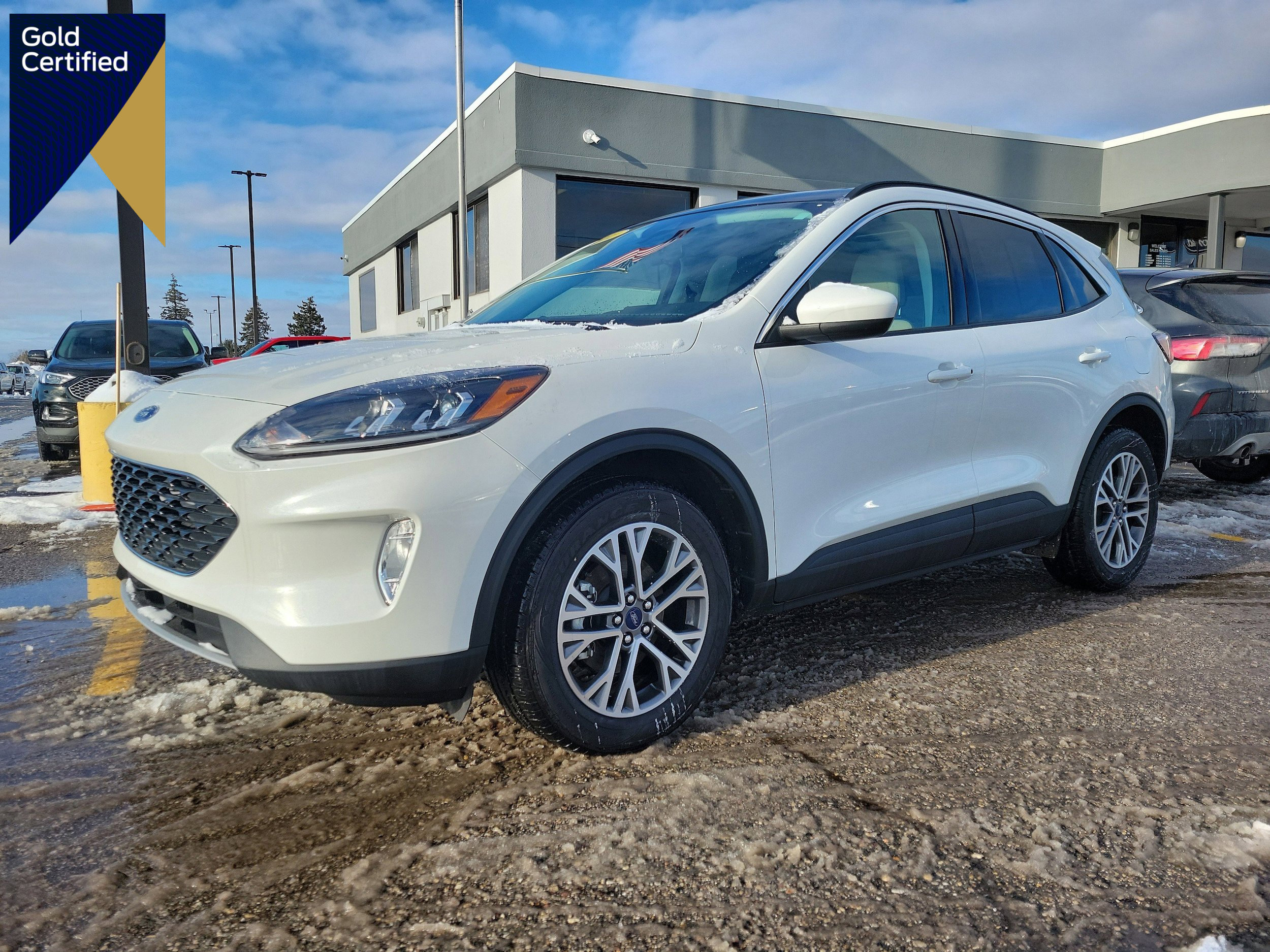 Certified 2022 Ford Escape SEL image 1