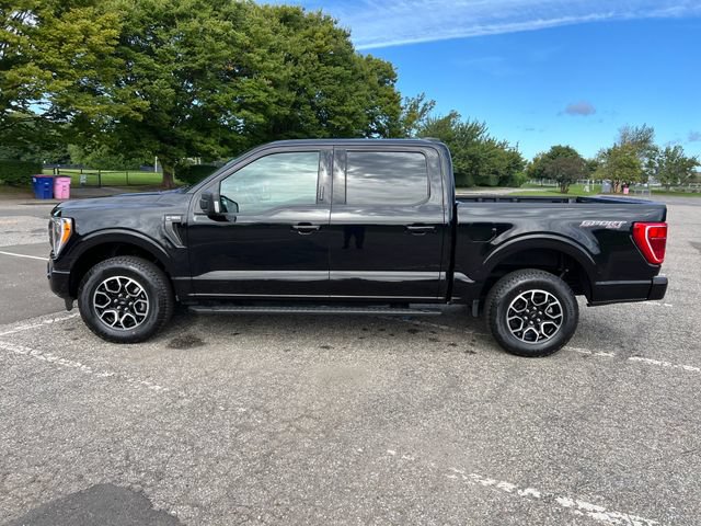 Certified 2023 Ford F150 XLT w/ Equipment Group 302A High AWD/4WD image 6