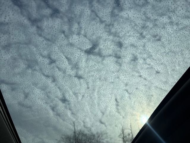 Used 2017 Toyota Tundra 1794 Edition image 15