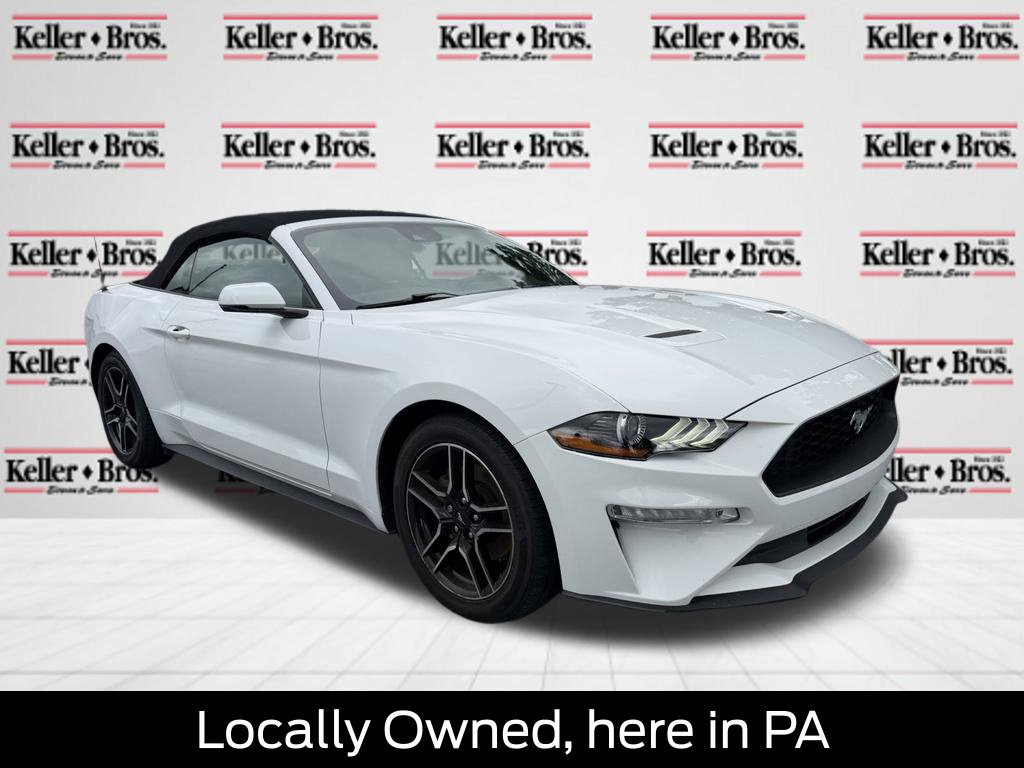 Certified 2019 Ford Mustang Premium w/ Equipment Group 201A RWD image 1