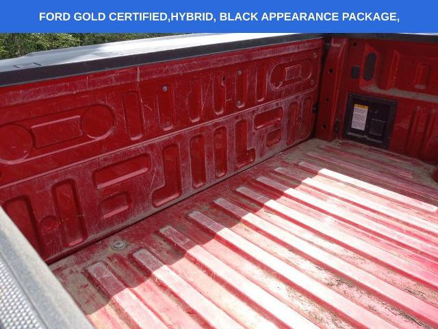 Certified 2024 Ford F150 XLT w/ Equipment Group 302A MID AWD/4WD image 19