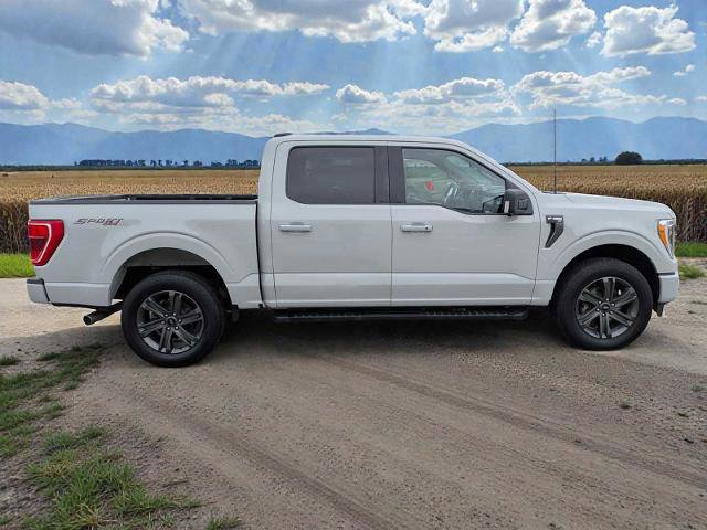 Certified 2023 Ford F150 XLT w/ Equipment Group 302A High image 2