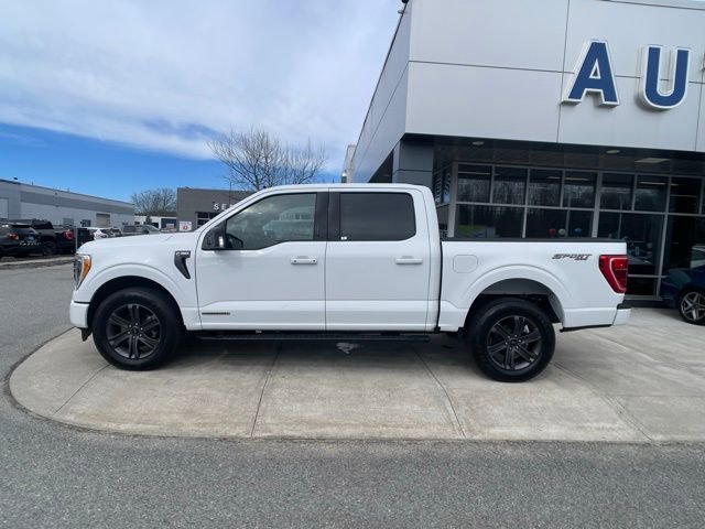 Certified 2023 Ford F150 XLT w/ Equipment Group 302A High image 5