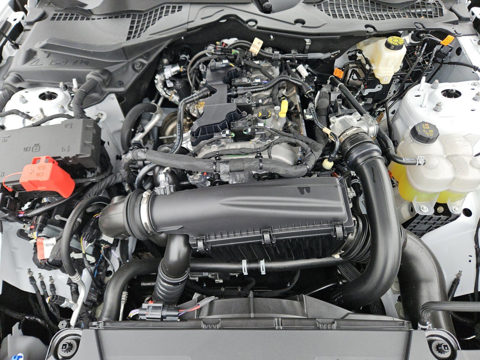 Certified 2025 Ford Mustang EcoBoost image 28