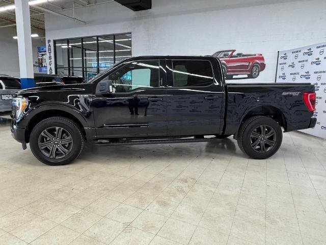 Certified 2023 Ford F150 XLT w/ Equipment Group 302A High image 2