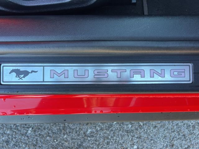 Certified 2019 Ford Mustang Premium w/ Equipment Group 201A image 44