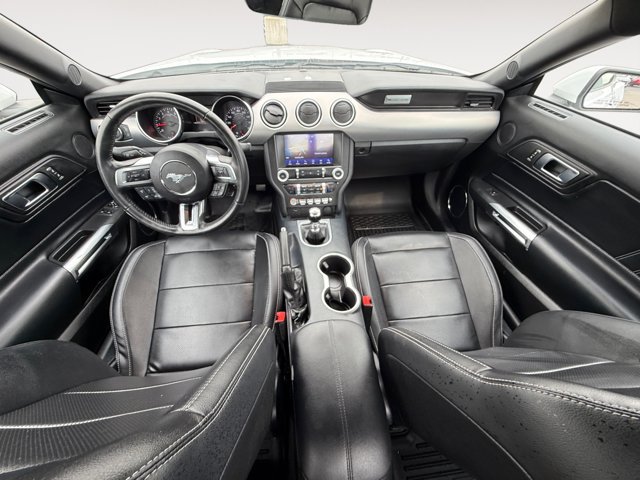 Certified 2021 Ford Mustang Premium w/ Ford Safe & Smart Package RWD image 13