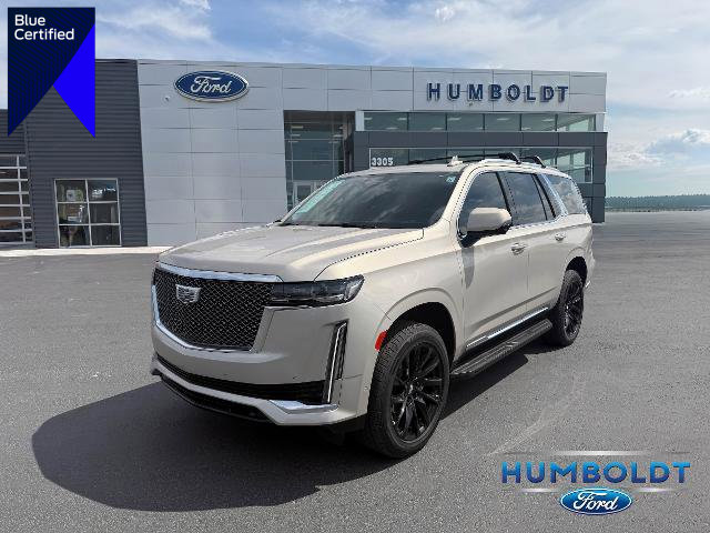 Used 2023 Cadillac Escalade Premium Luxury Platinum image 1