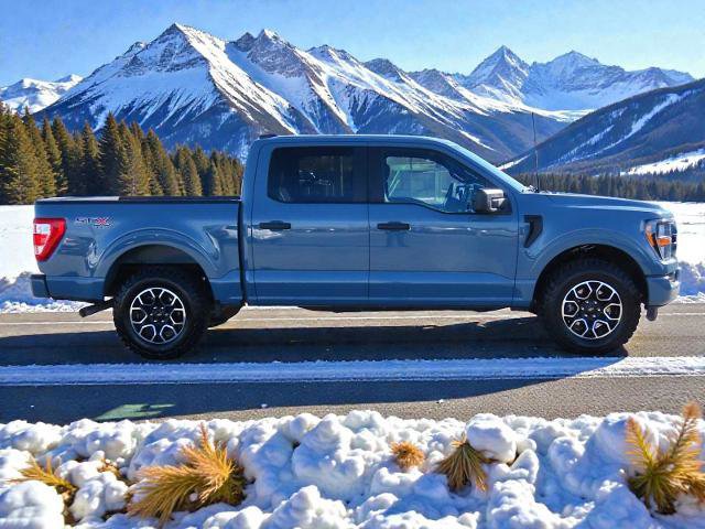 Certified 2023 Ford F150 XL w/ STX Appearance Package image 2