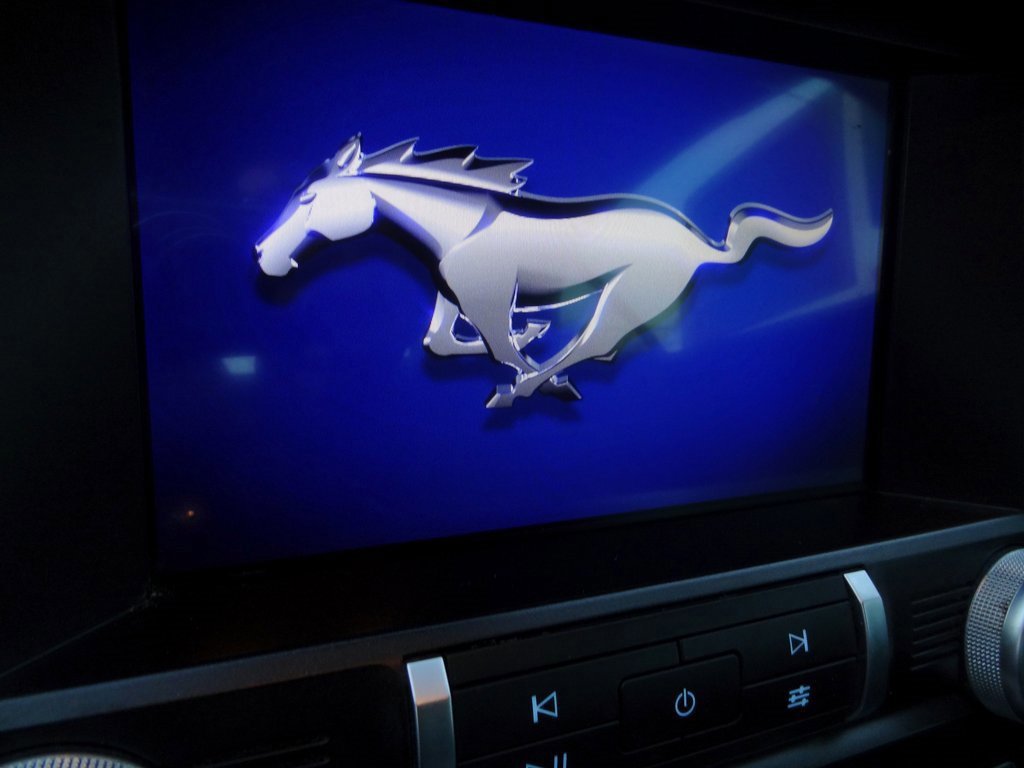 Certified 2019 Ford Mustang Premium w/ Equipment Group 201A image 8