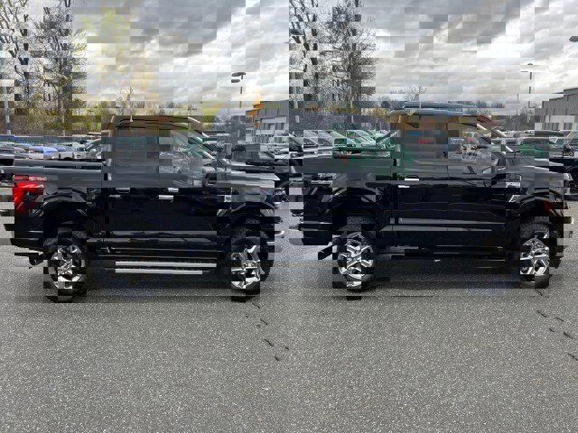 Certified 2025 Ford F150 XLT w/ Equipment Group 301A Standard AWD/4WD image 6