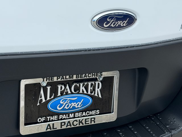 Certified 2025 Ford Transit 250 Low Roof w/ Exterior Upgrade Package RWD image 16