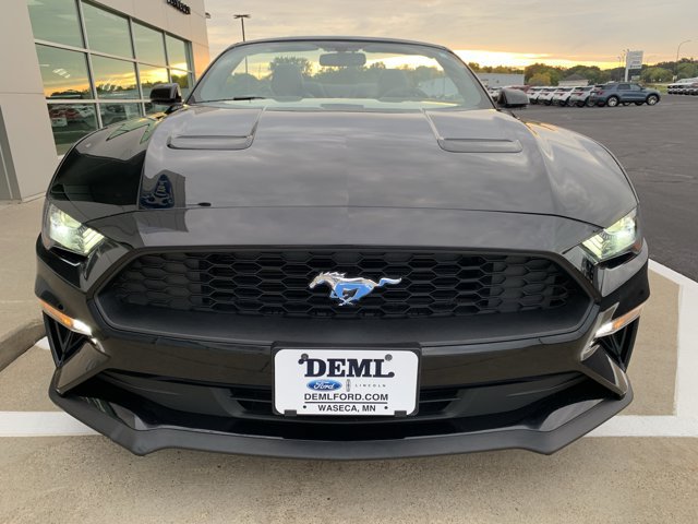Certified 2018 Ford Mustang Premium w/ Equipment Group 201A RWD image 6