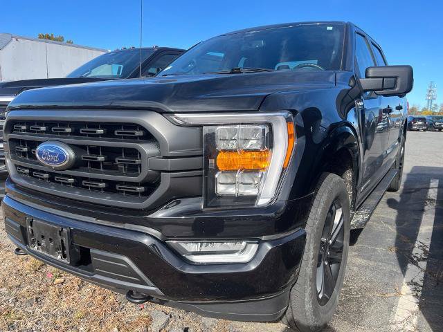 Certified 2023 Ford F150 XLT w/ Equipment Group 302A High AWD/4WD image 2