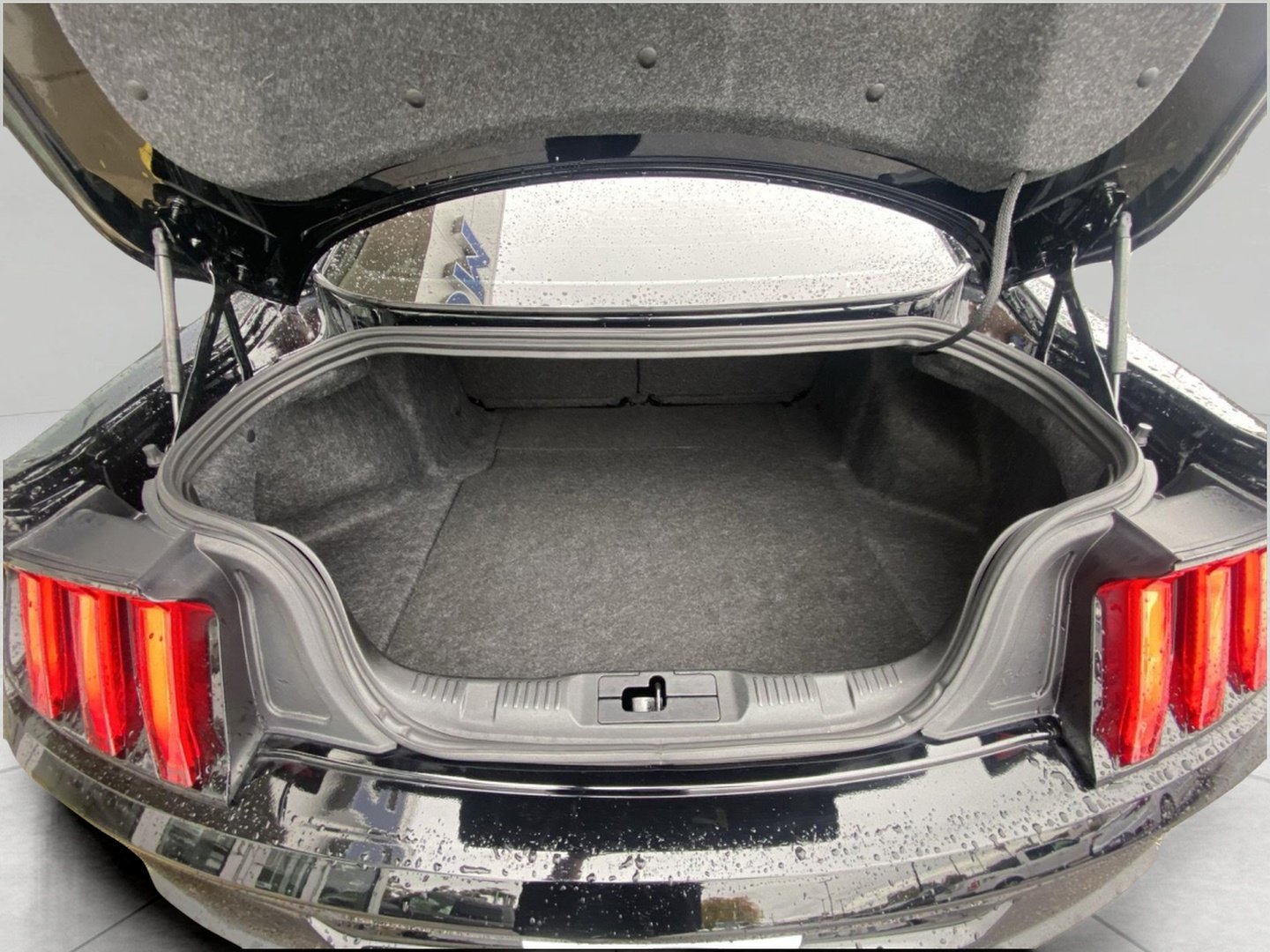 Certified 2021 Ford Mustang Premium RWD image 13