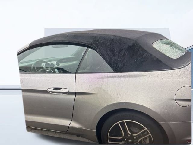 Certified 2021 Ford Mustang EcoBoost w/ Equipment Group 101A image 6