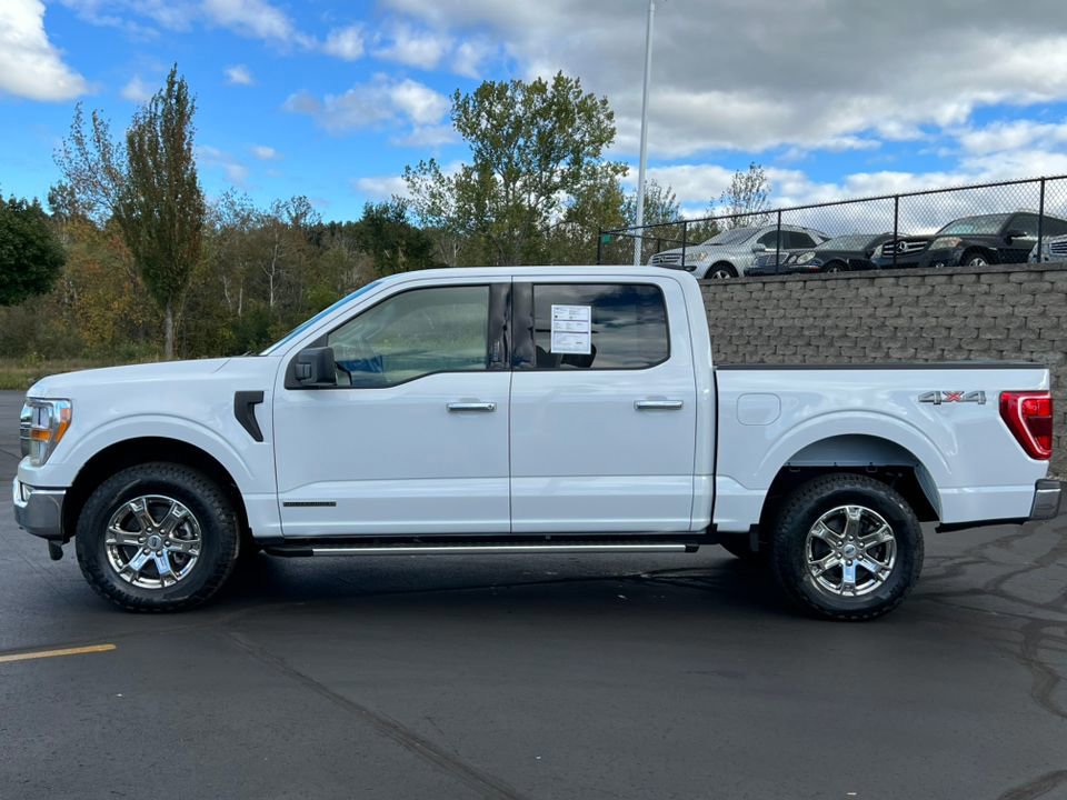Certified 2022 Ford F150 XLT w/ Equipment Group 301A Mid image 5