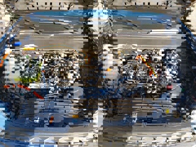 Certified 2024 Ford Maverick XLT w/ XLT Luxury Package image 20