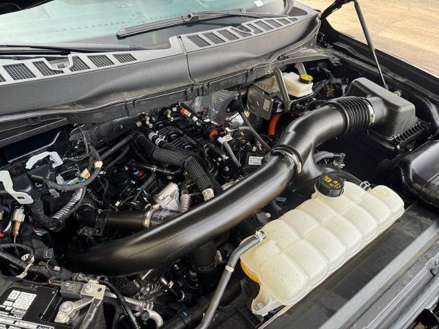 Certified 2025 Ford F150 Raptor image 17