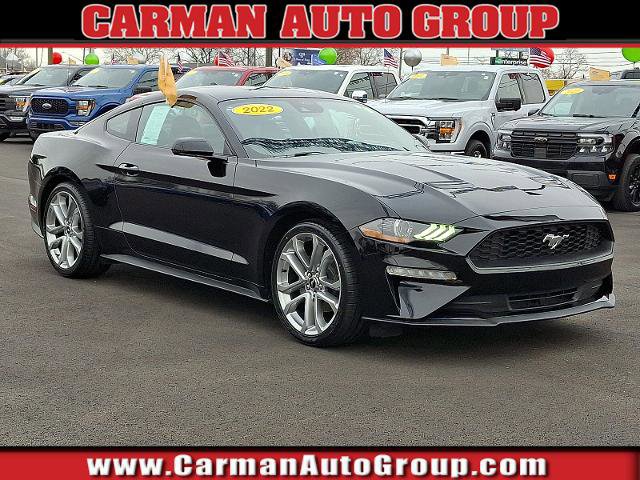 Certified 2022 Ford Mustang Premium w/ Equipment Group 201A image 1